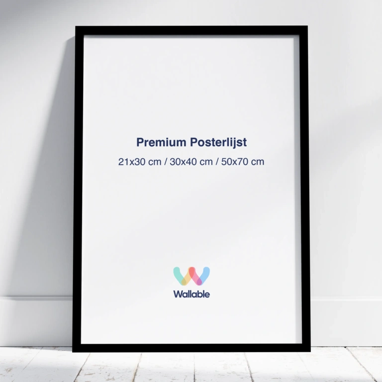 zwarte posterlijst