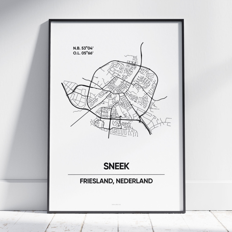 Sneek stad poster