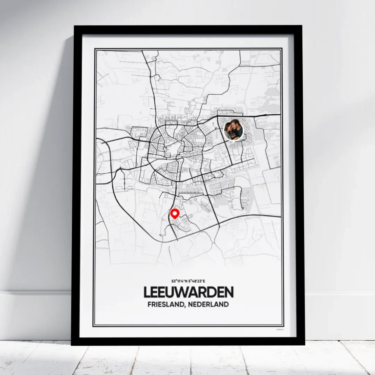stadskaart Leeuwarden poster