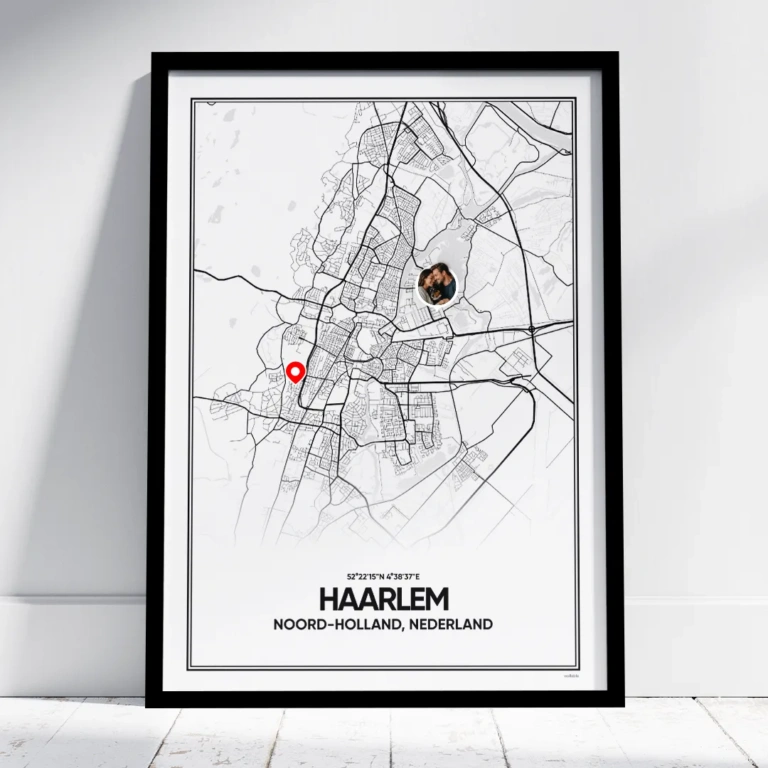 stadskaart Haarlem poster
