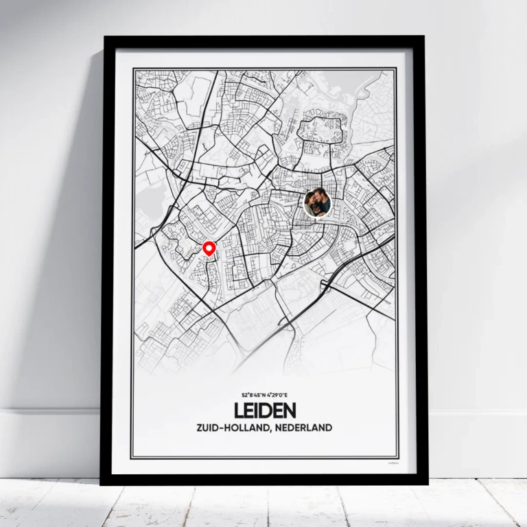 stadskaart Leiden poster