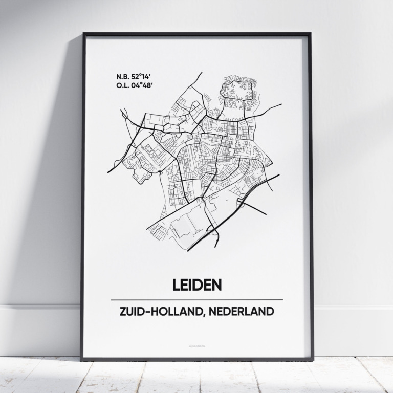 Leiden stad poster