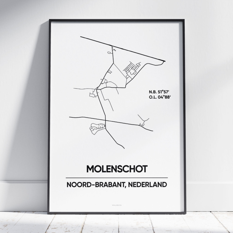 Molenschot stad poster