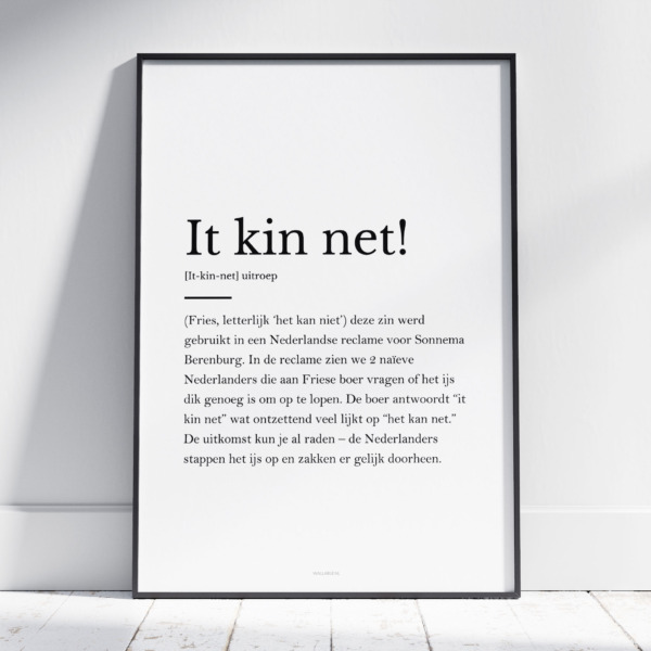 It kin net poster