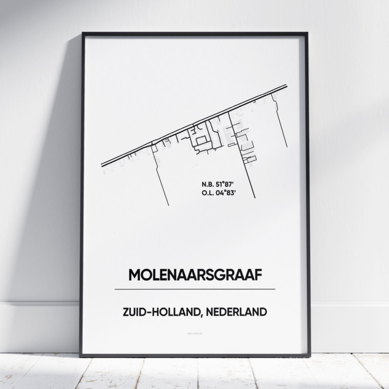 Molenaarsgraaf stad poster