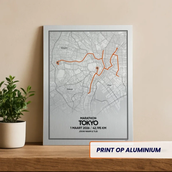 De route van de Tokyo marathon 2026 op aluminium