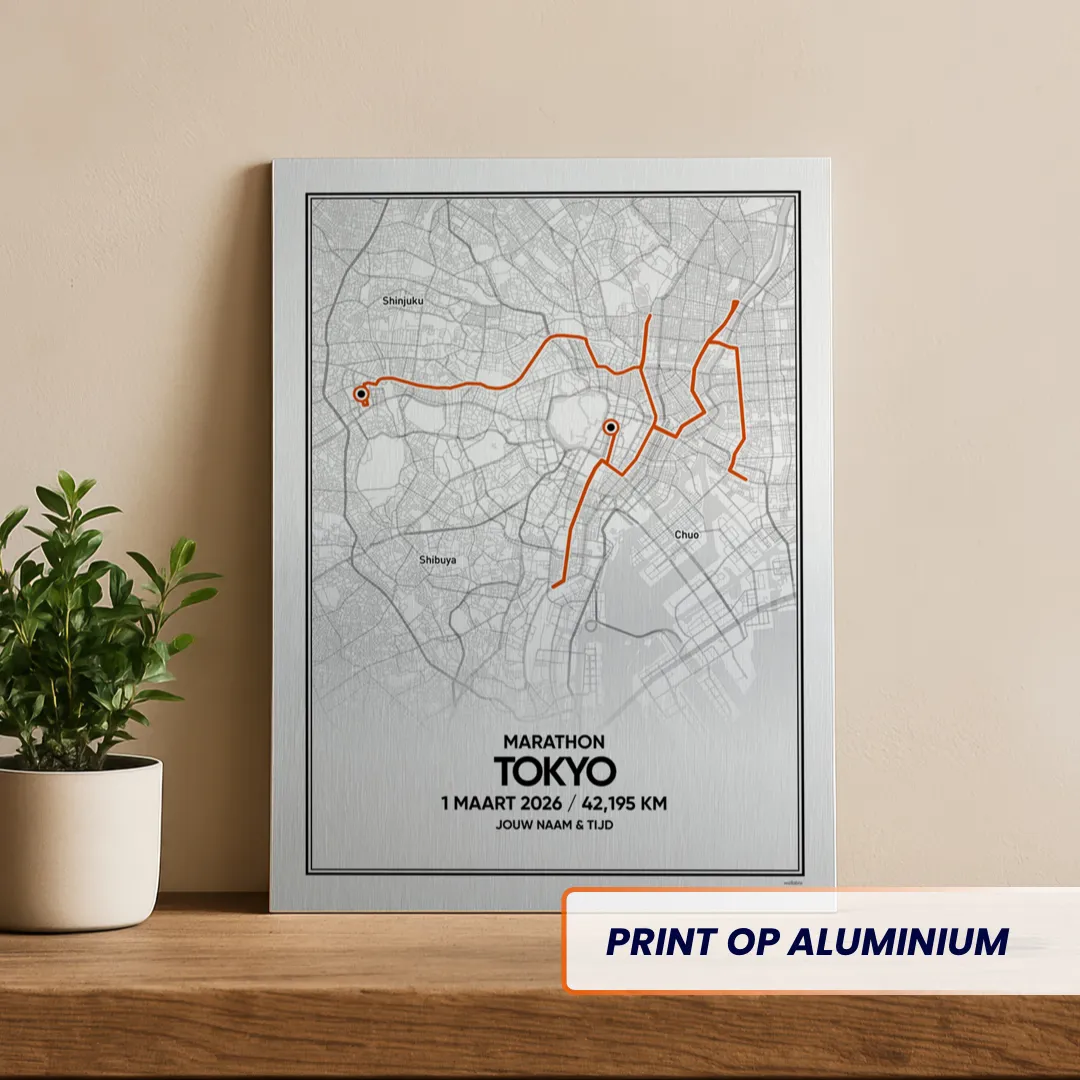 De route van de Tokyo marathon 2026 op aluminium