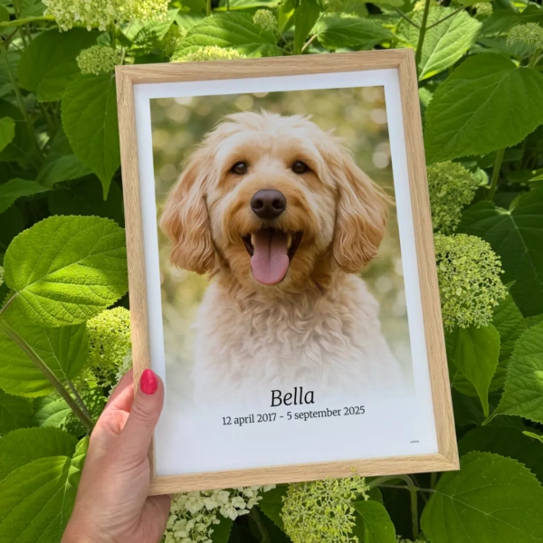 Foto van je hond of huisdier