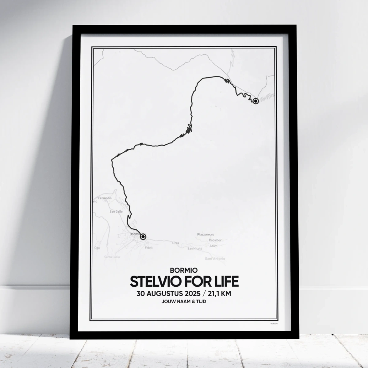 Stelvio for life 2025 print