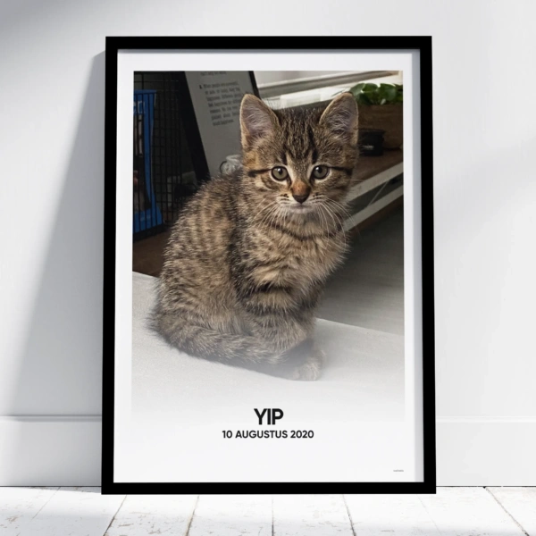 Huisdier print