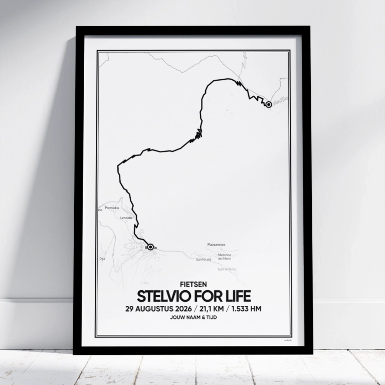 Stelvio for Life 2026 fietsen poster