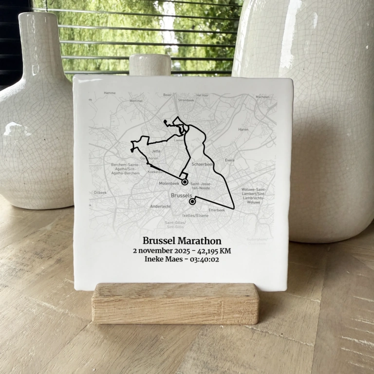 Brussel Halve Marathon / Marathon 2025 route Tegeltje