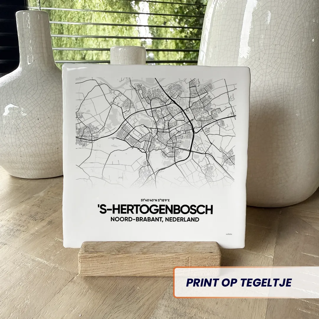 Stadskaart Den Bosch : 's-Hertogenbosch tegeltje