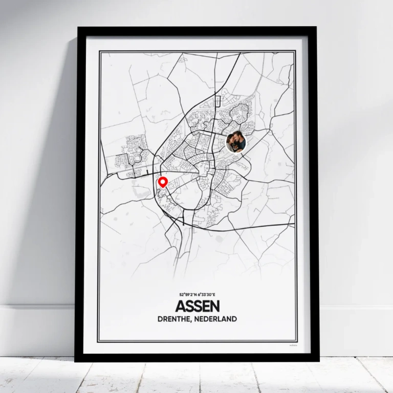 stadskaart Assen poster
