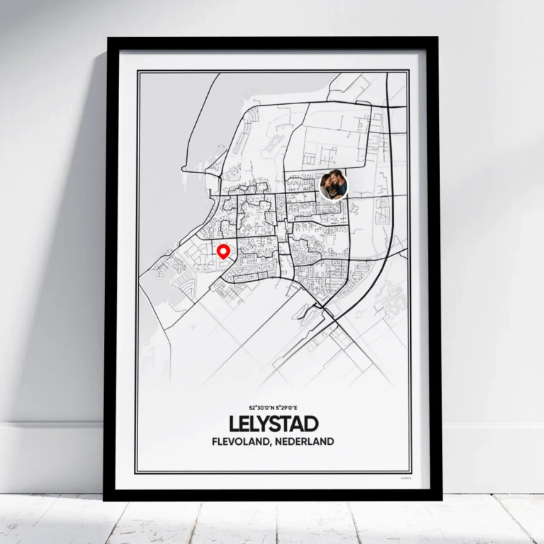 stadskaart Lelystad poster