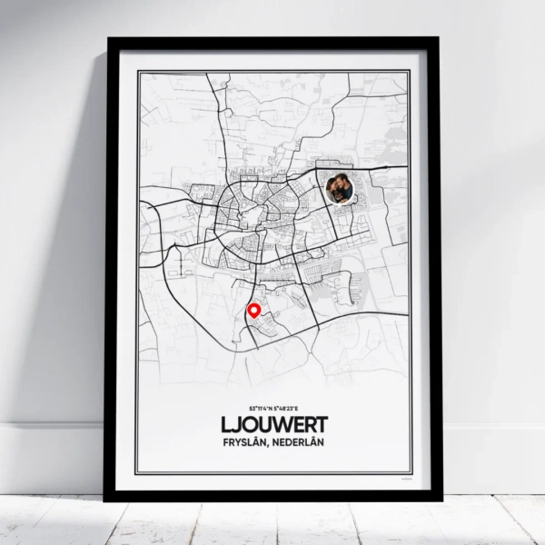 stadskaart Ljouwert poster