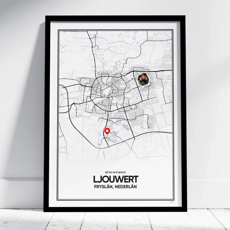 stadskaart Ljouwert poster