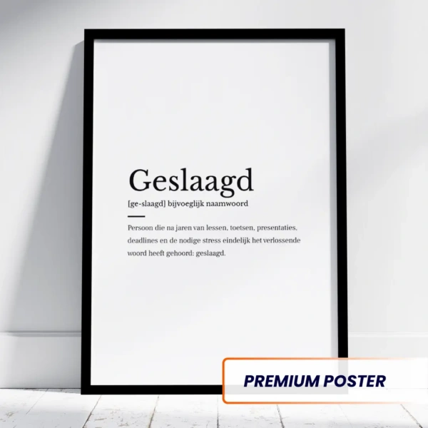 Geslaagd woordenboek poster