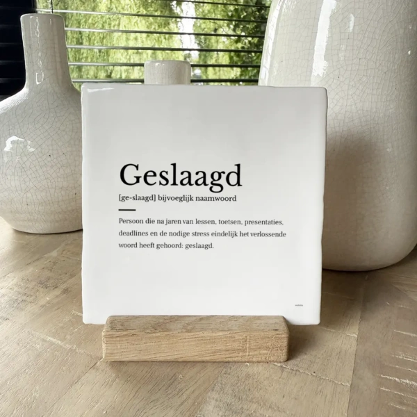 Geslaagd woordenboek tegeltje