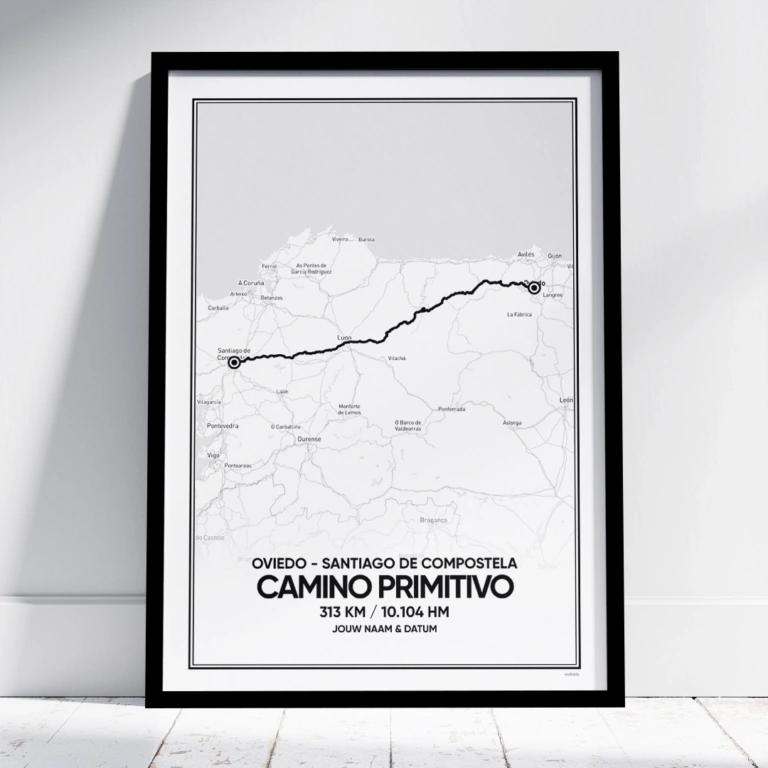Camino Primitivo poster