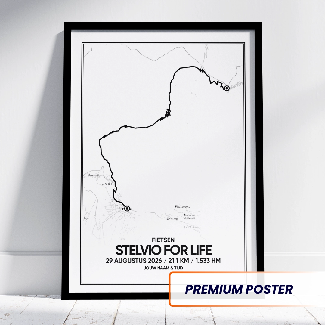 Stelvio for Life 2026 poster