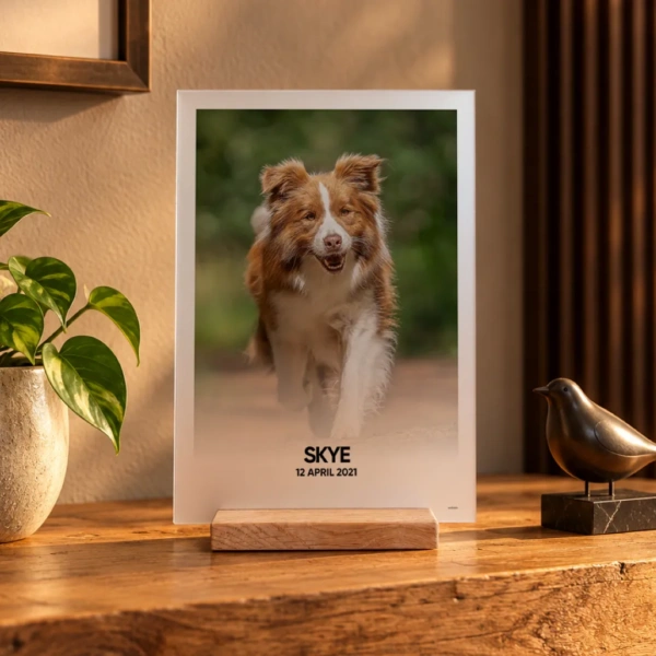 Foto van jouw hond op ontspiegeld acrylglas