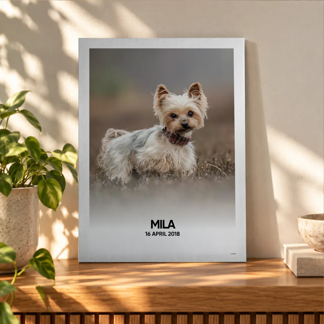 Foto van jouw hond op aluminium