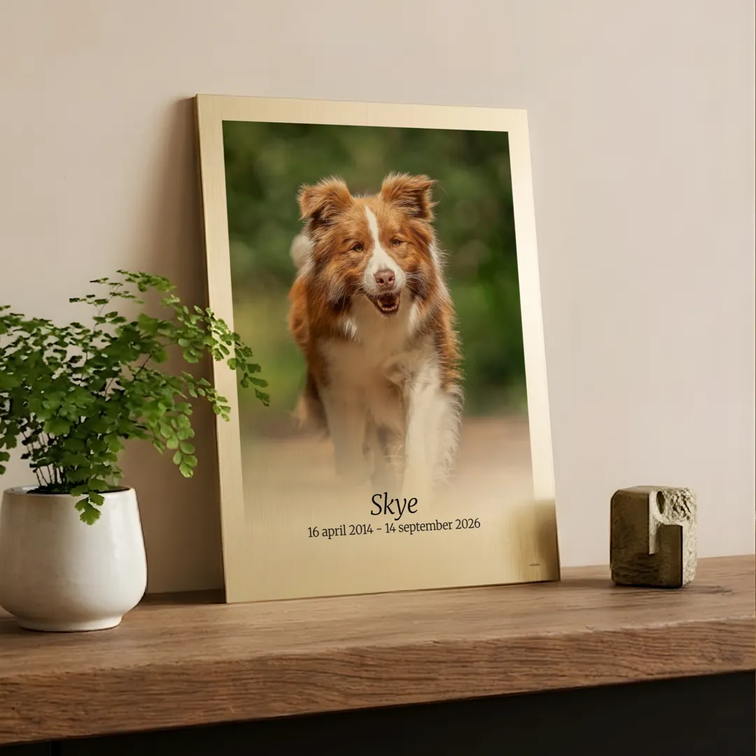 Foto van jouw hond op goudlkleurig aluminium