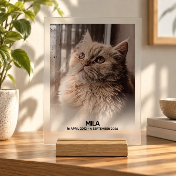 Aandenken aan jouw kat op acrylglas