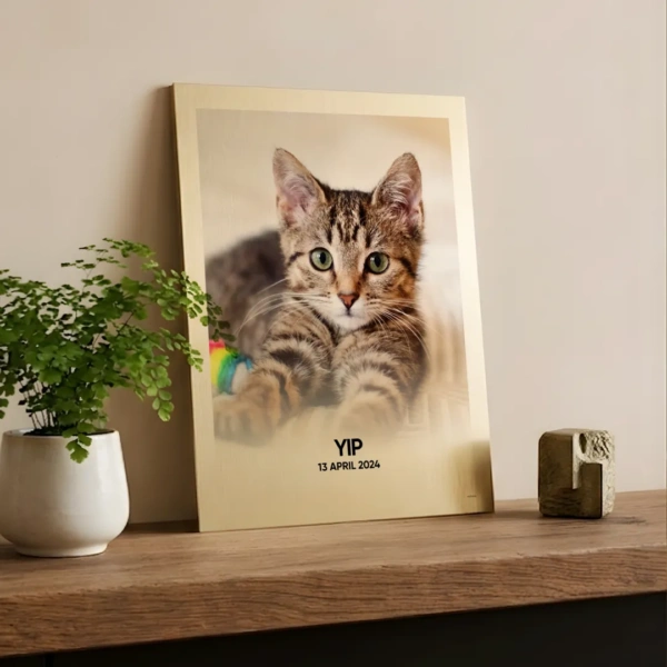 Foto van jouw kat op aluminium