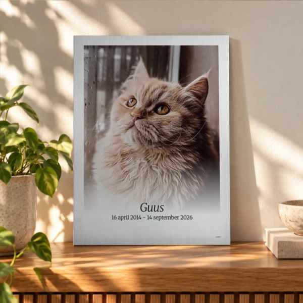 Foto van jouw kat op zilver aluminium